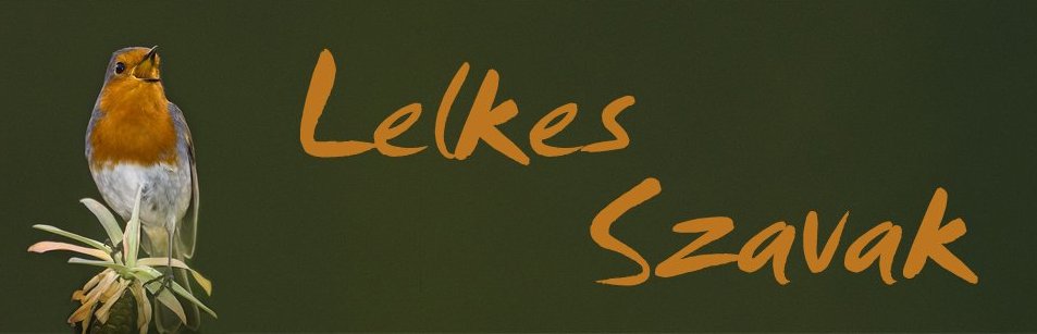 Lelkes Szavak